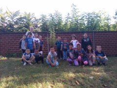 IMG_20230920_092907862.jpg IMG_20230920_092907862.jpg